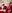 Christmas Santa Family Experience
